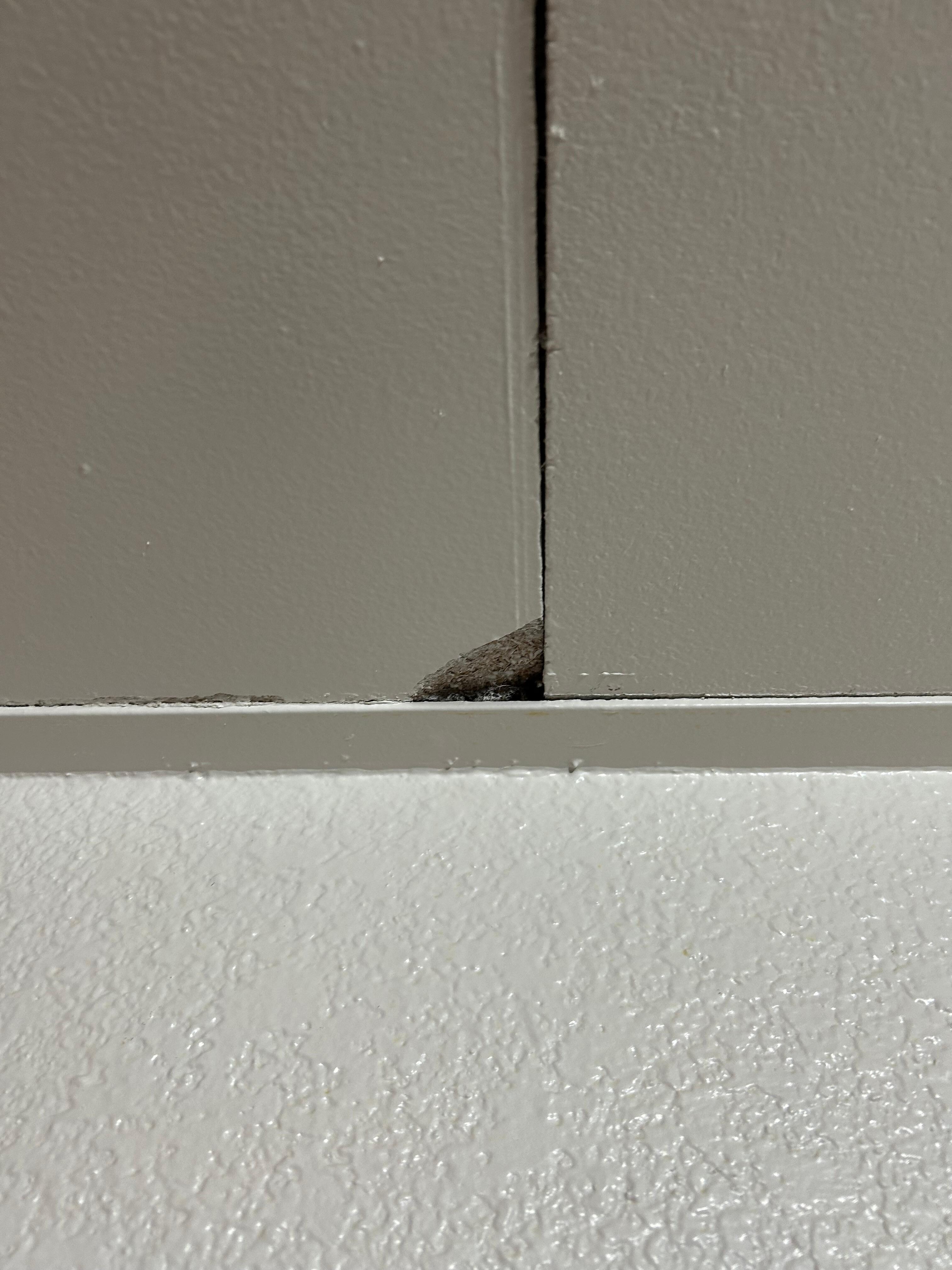 Ceiling tiles broken