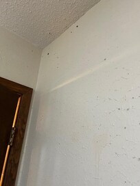 Moldy bathroom