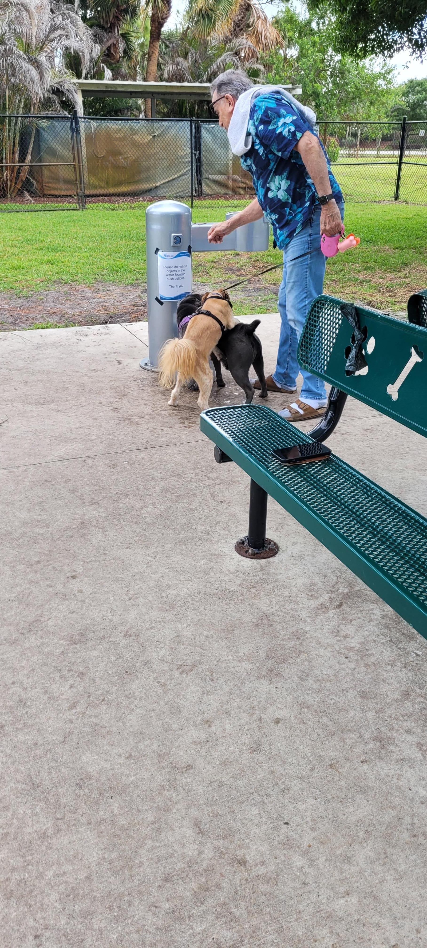 Dog park