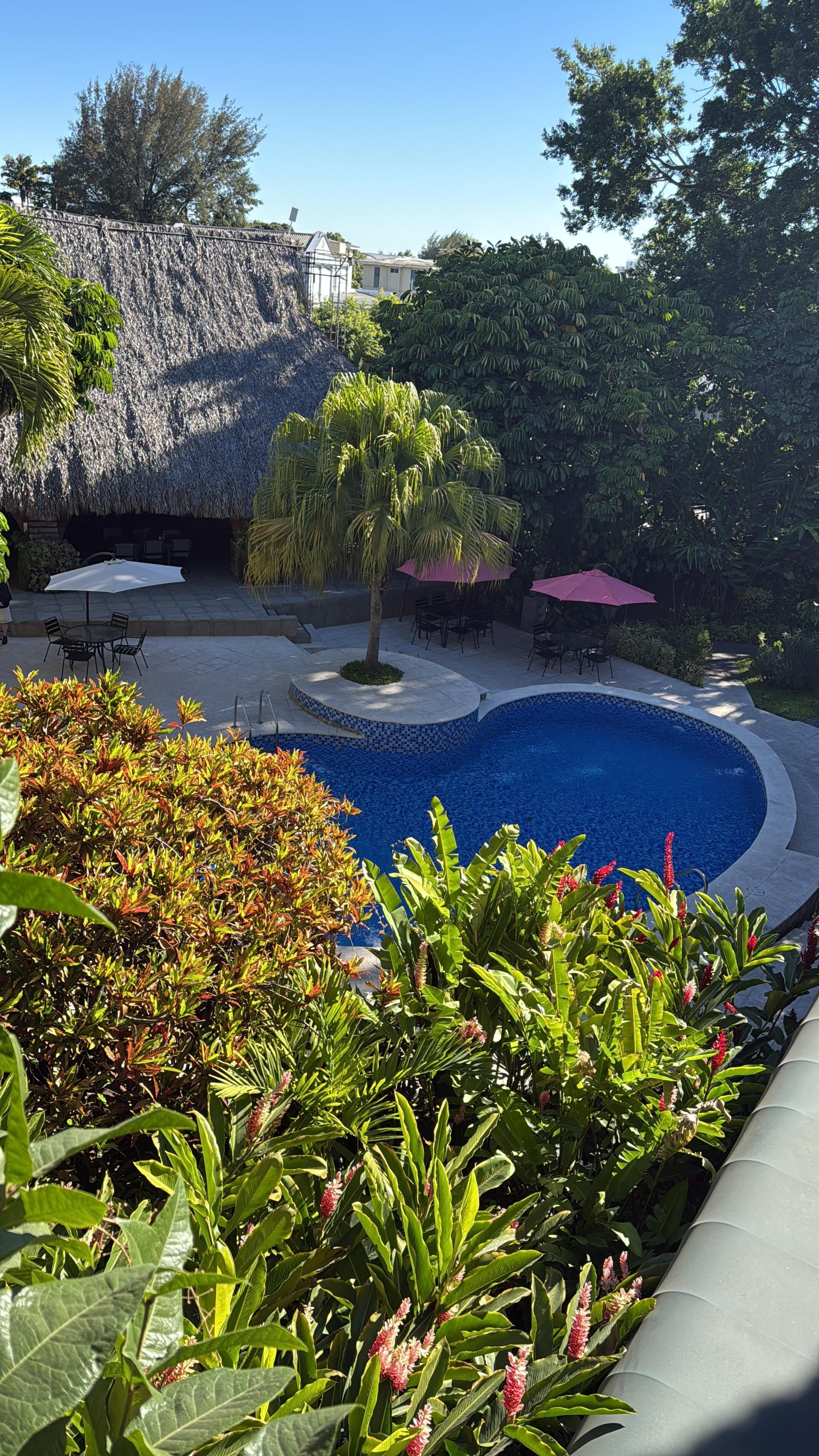 Vista de la Piscina y jardines