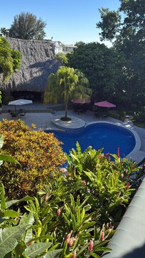 Vista de la Piscina y jardines