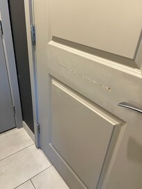 Door to the bathroom all scratched up