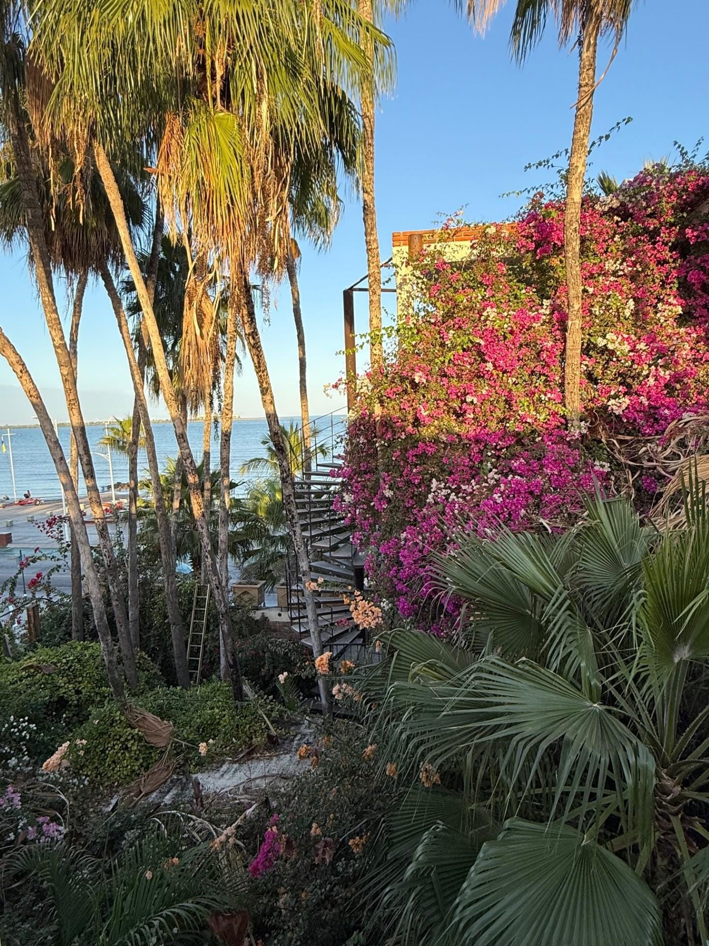 2nd floor patio view