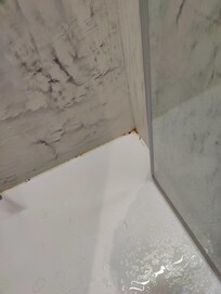 Inside shower area