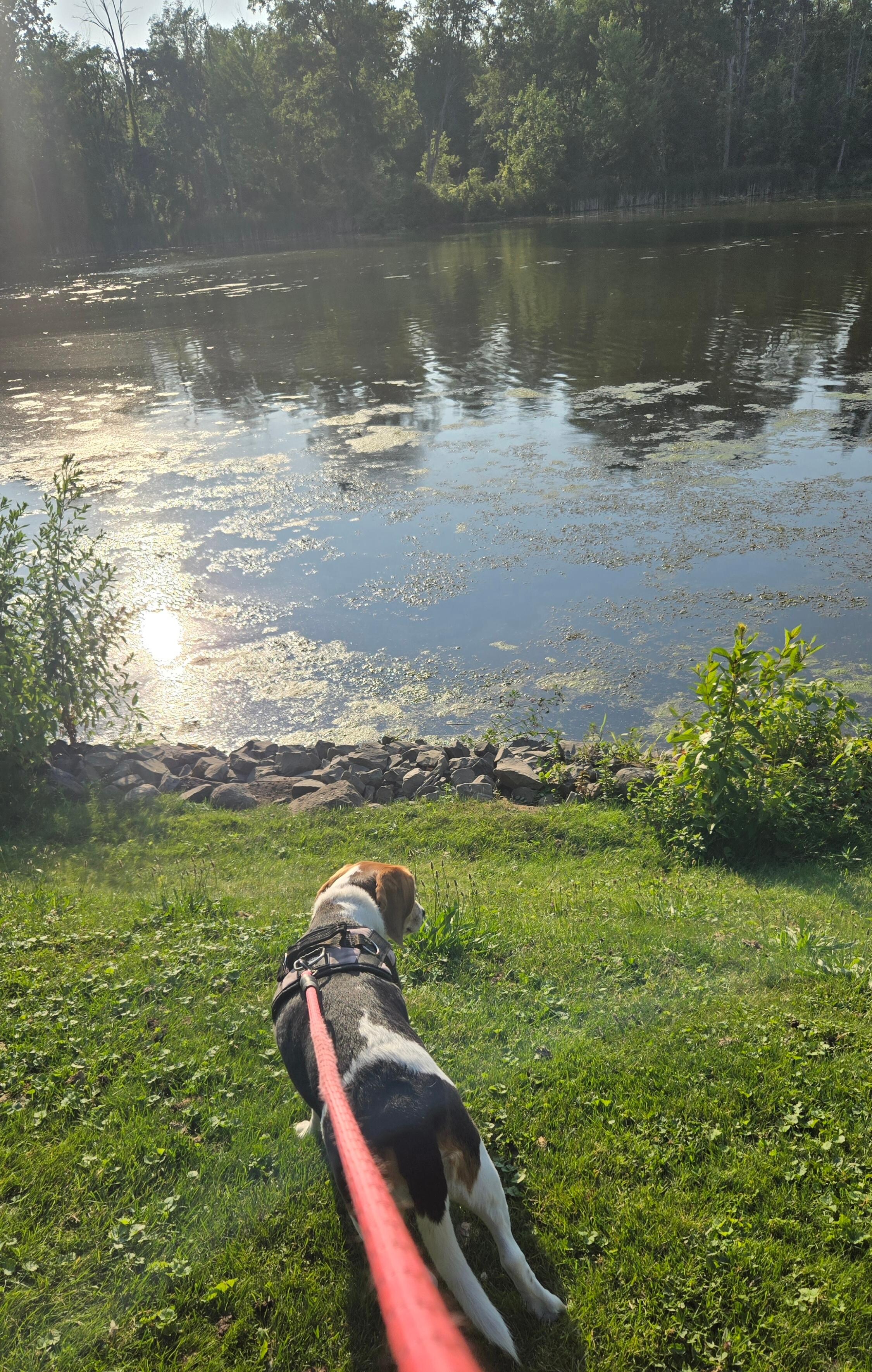 Looking our on the water.