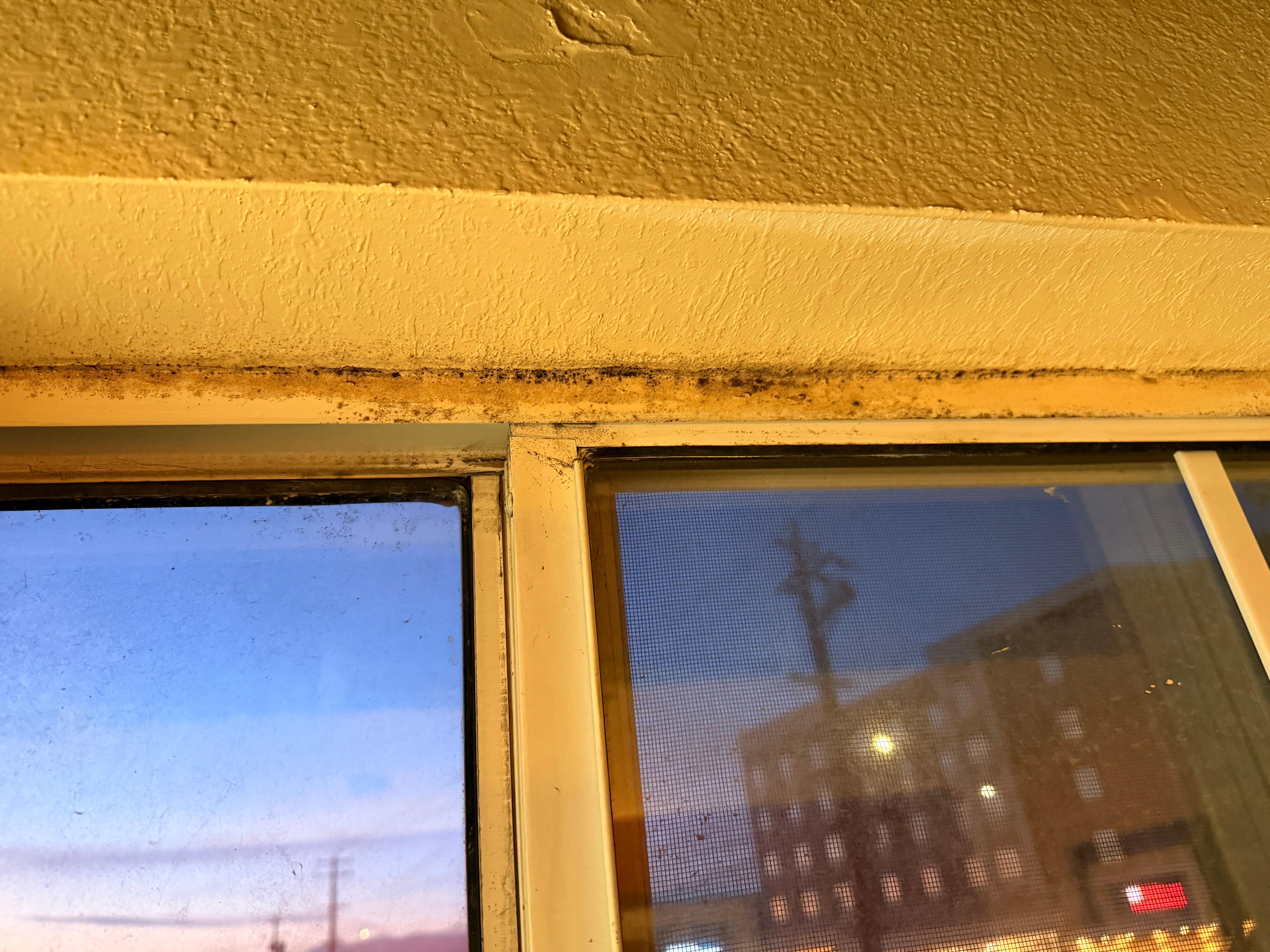 Mold in windows 