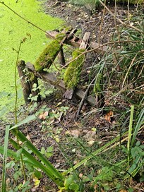 this is real life and her photo is not