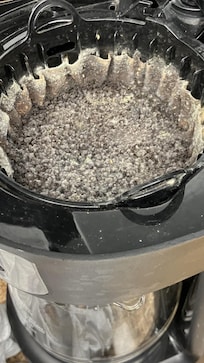 Disgusting coffee pot fulls of disgusting bugs!