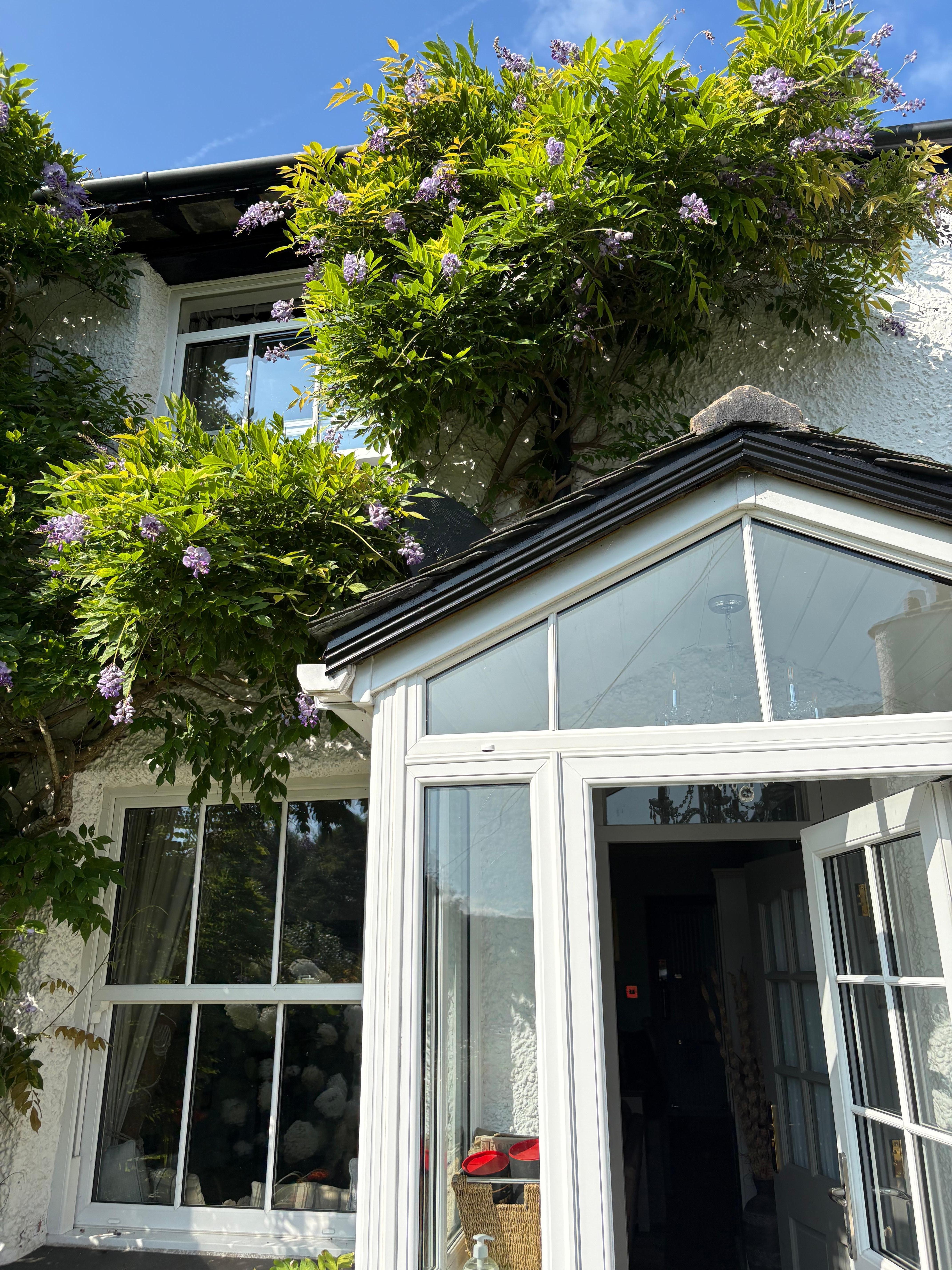 Front aspect of cottage