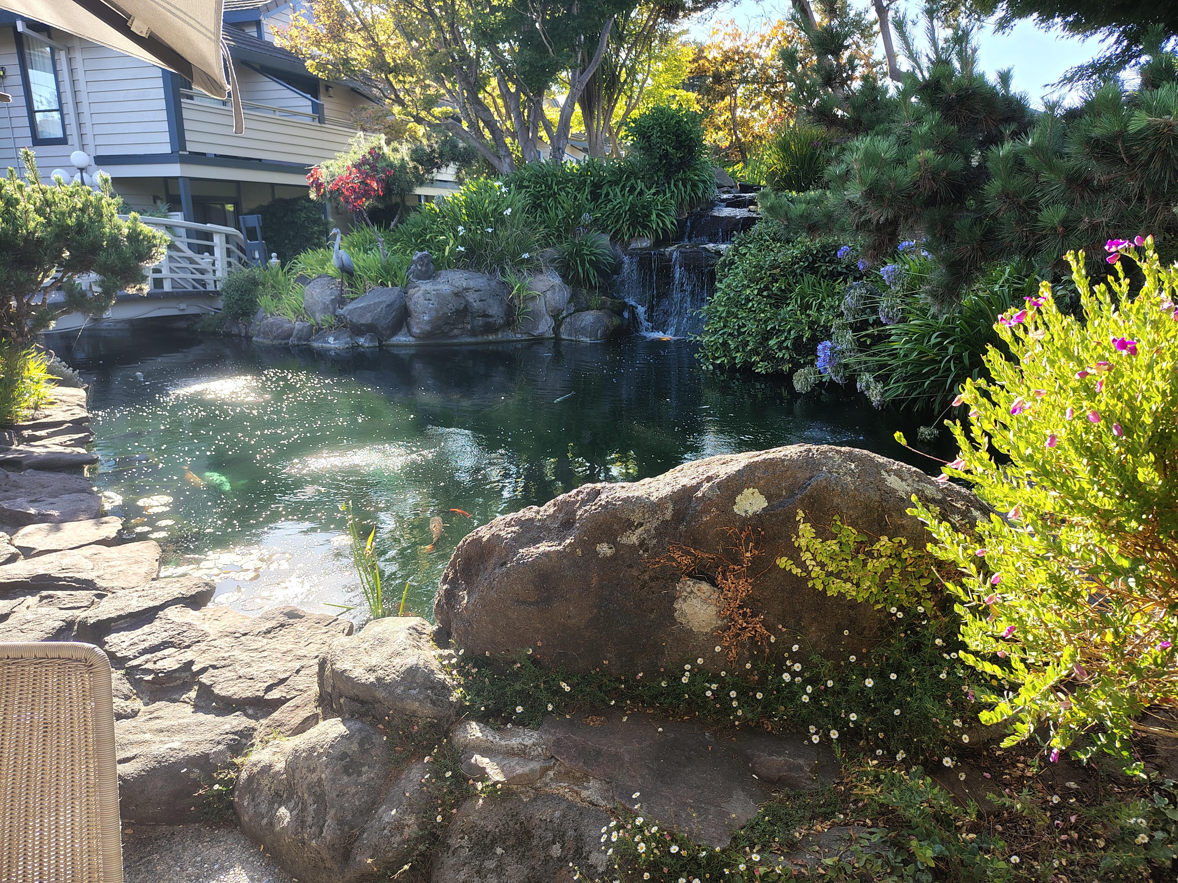 Beautiful garden view at the restaurant.