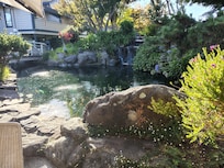 Beautiful garden view at the restaurant.