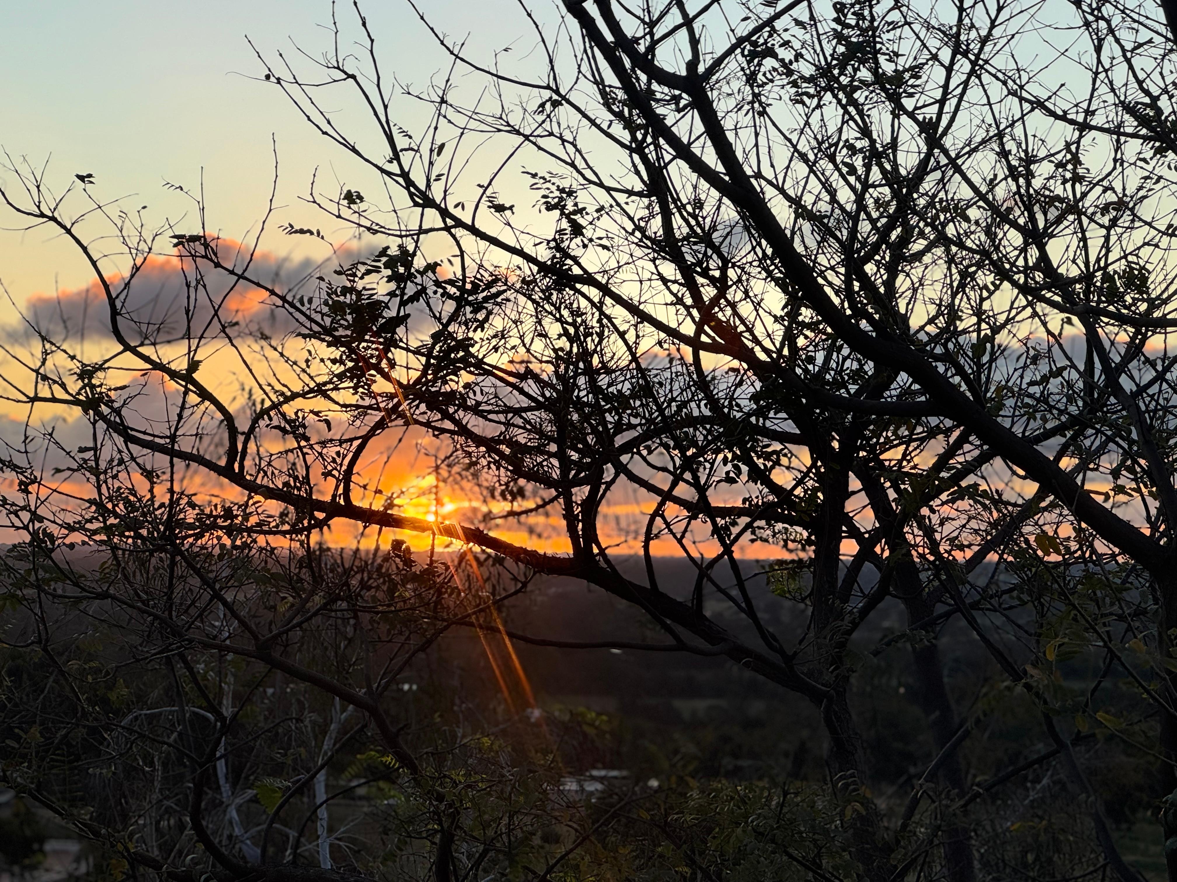 Views from the garden