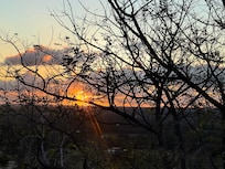 Views from the garden