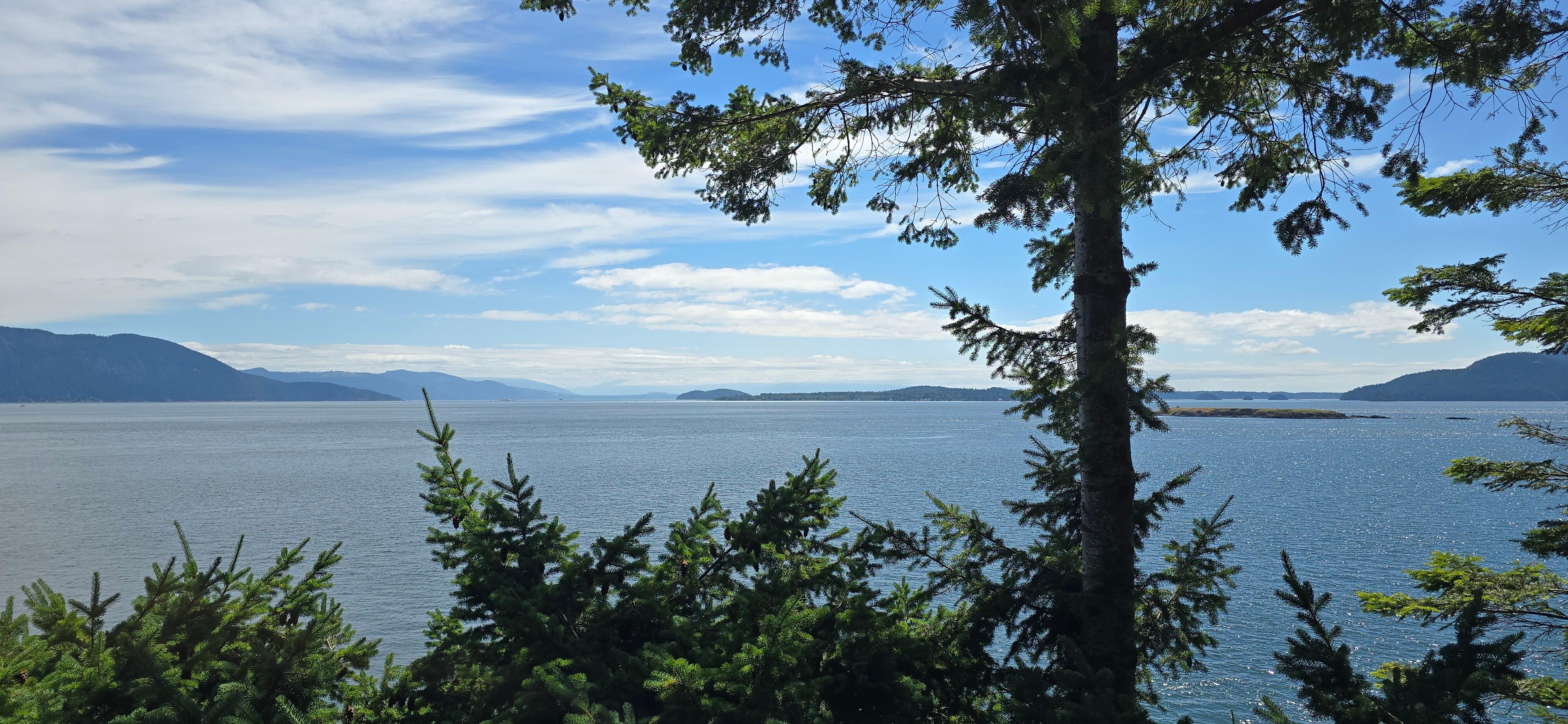 View from the deck to the southeast