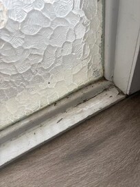 Front door sill inside