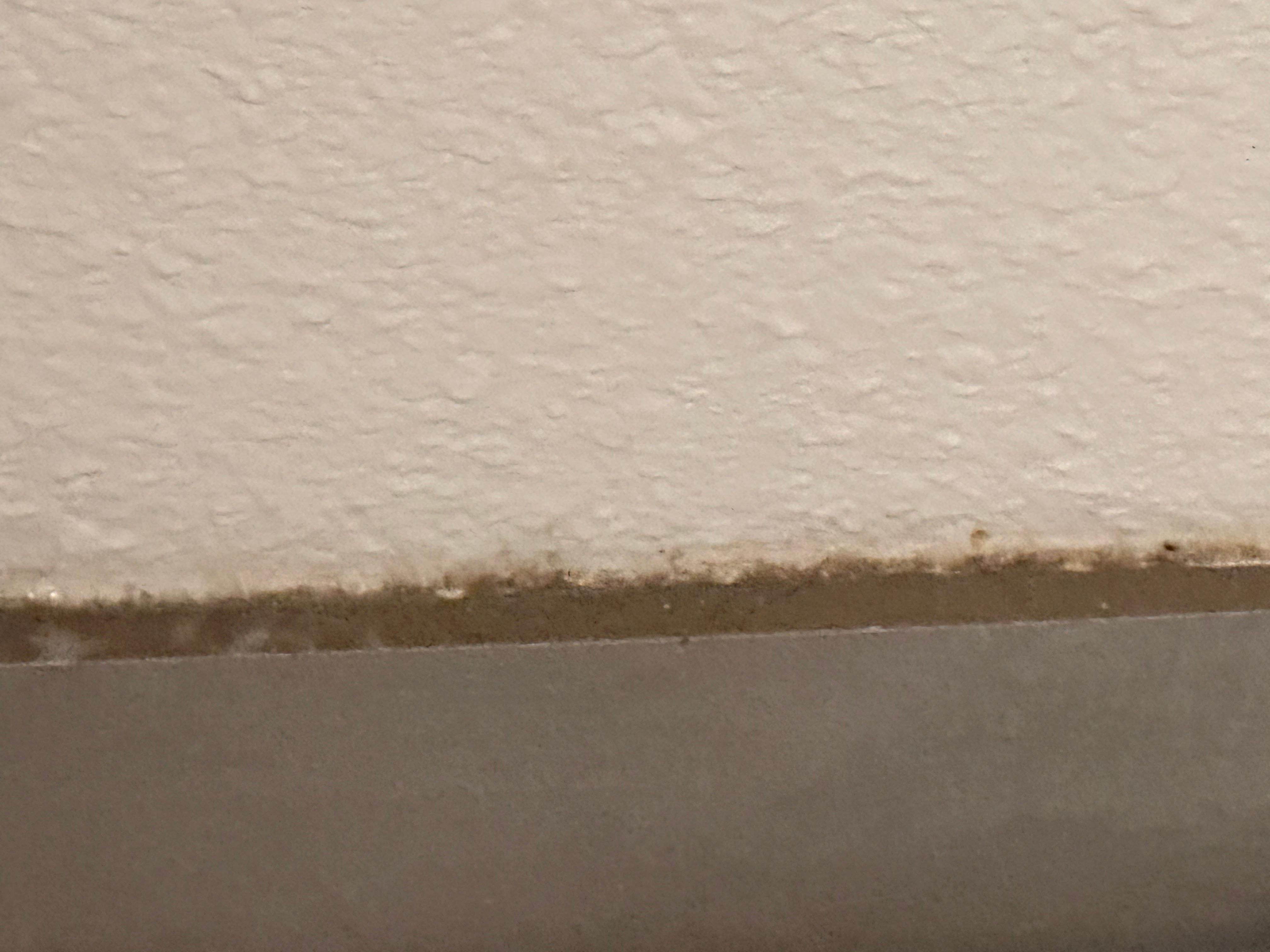 Filthy baseboards