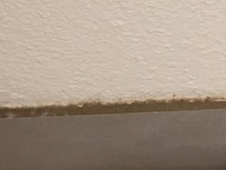 Filthy baseboards