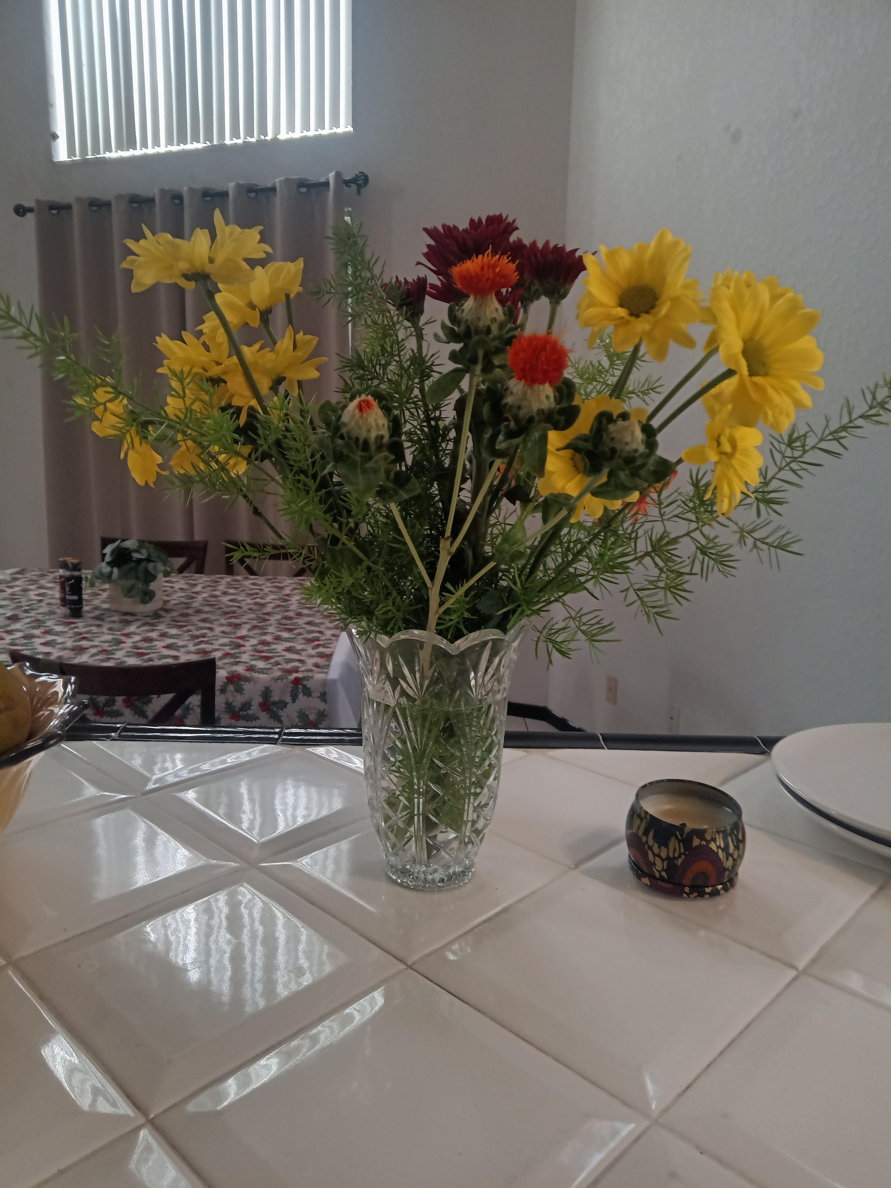 Enjoying the stay!👍