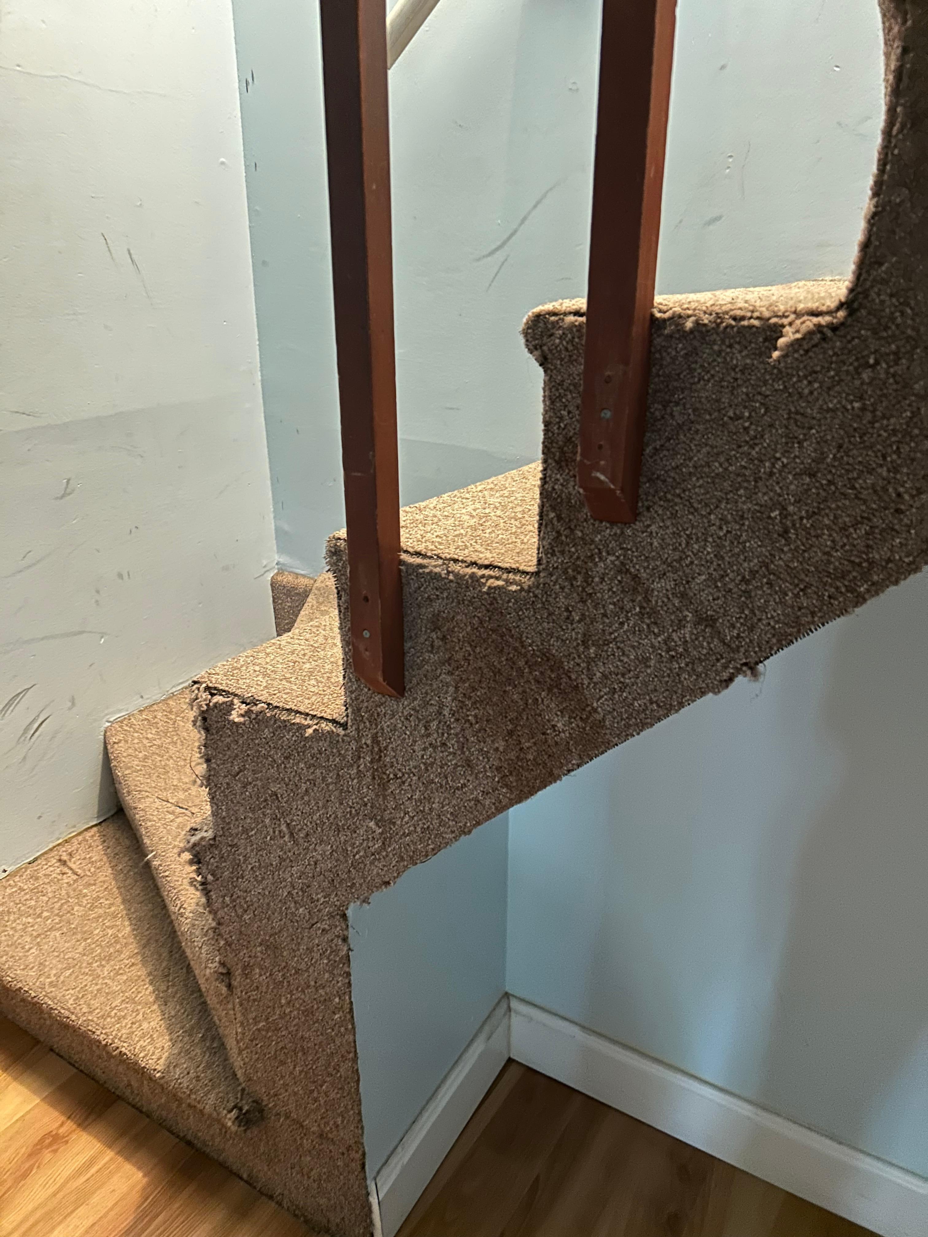 Ripped up carpeting on stairs. Accident waiting to happen. 