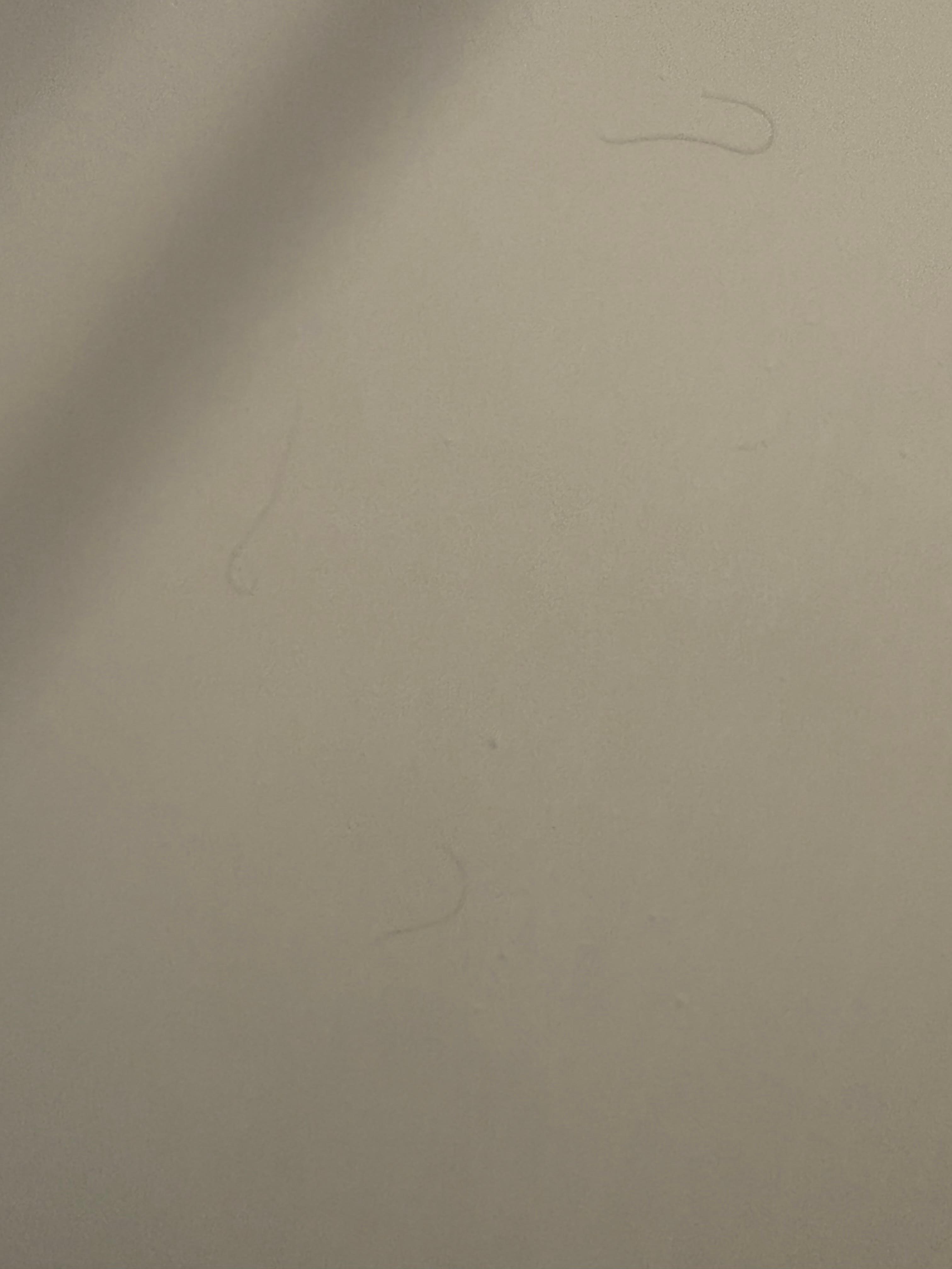Hair in shower