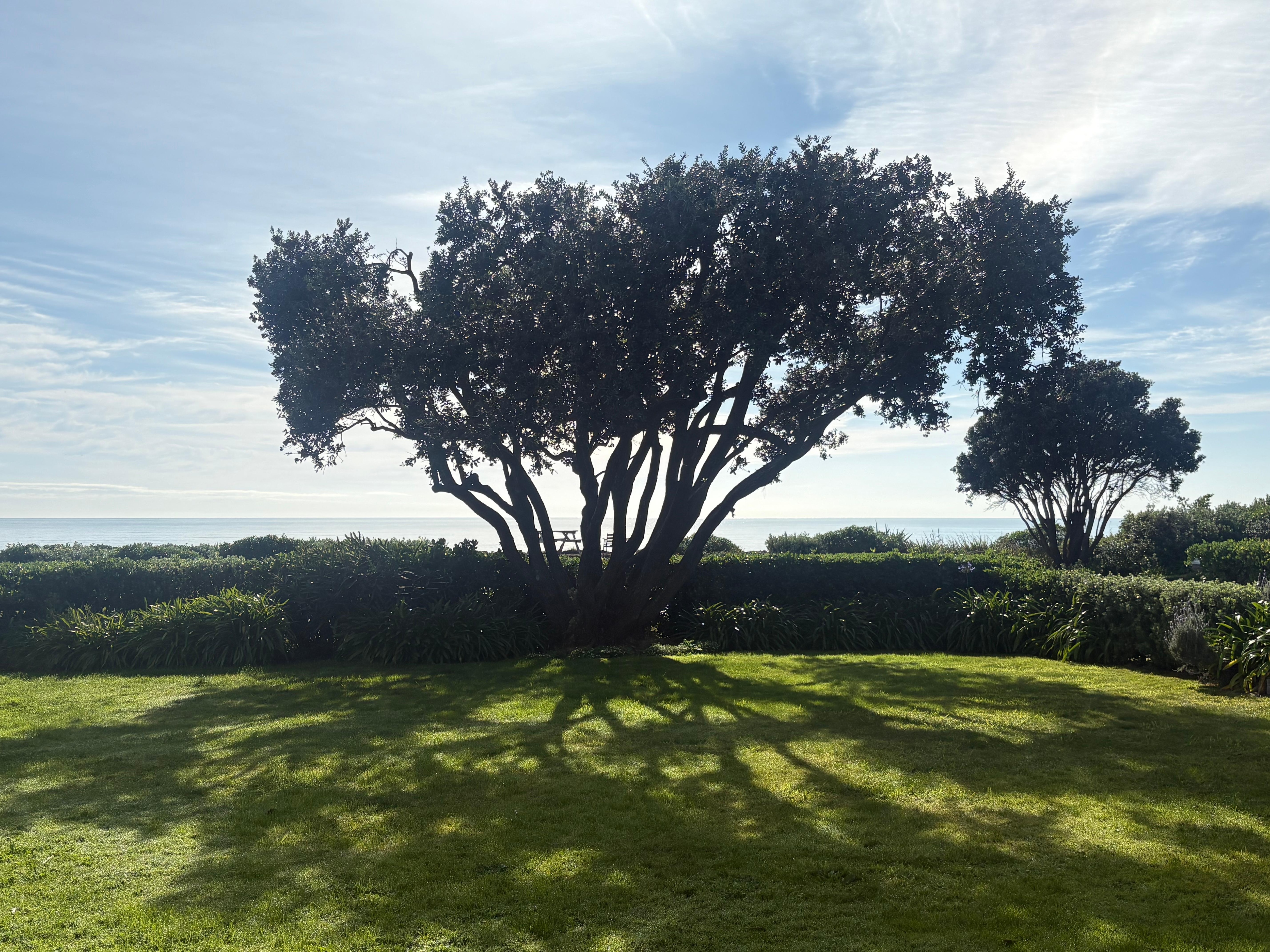 Gorgeous sitting outside