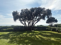 Gorgeous sitting outside