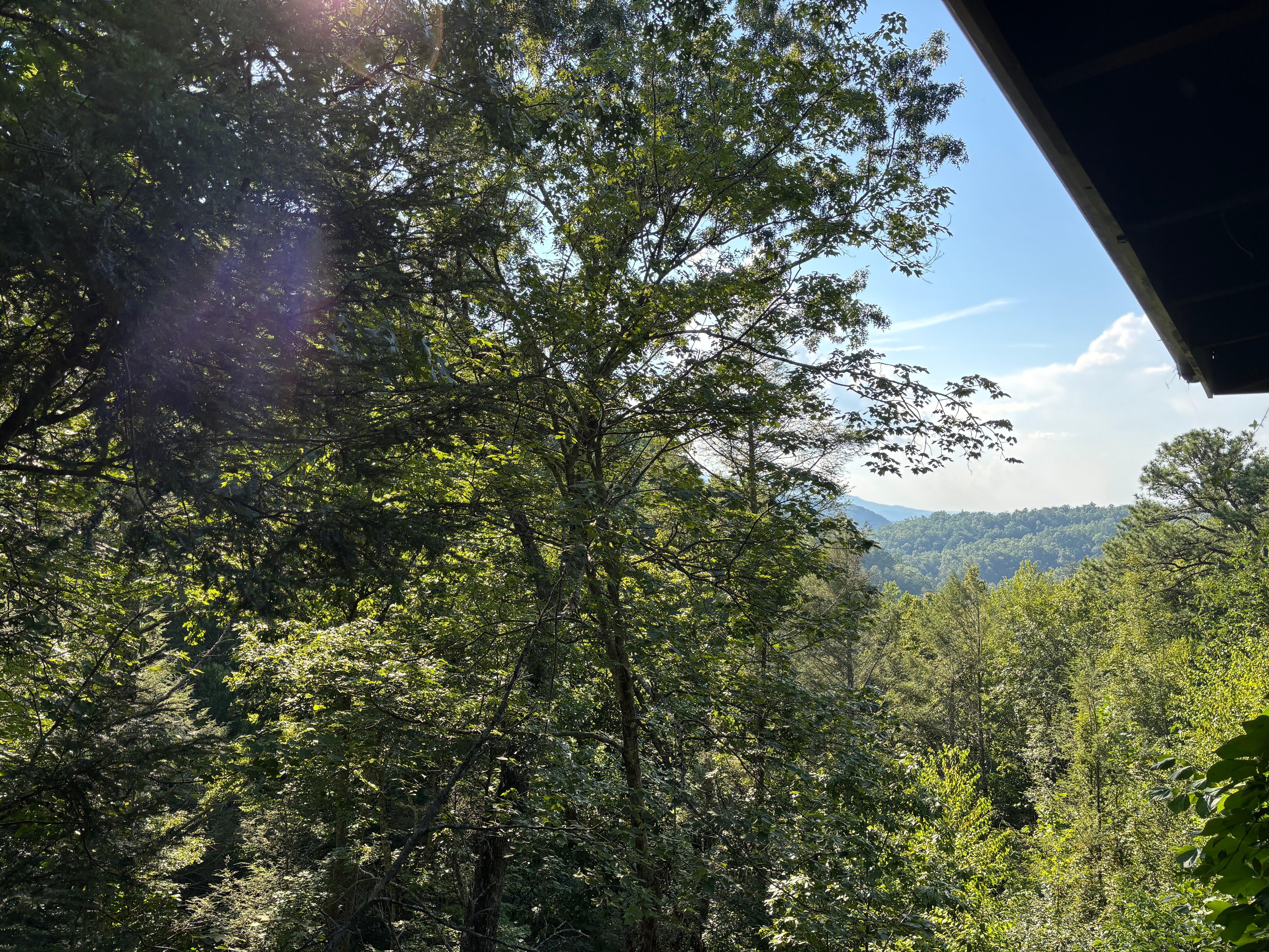 The view from the front porch 