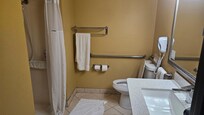 handicap bathroom shower