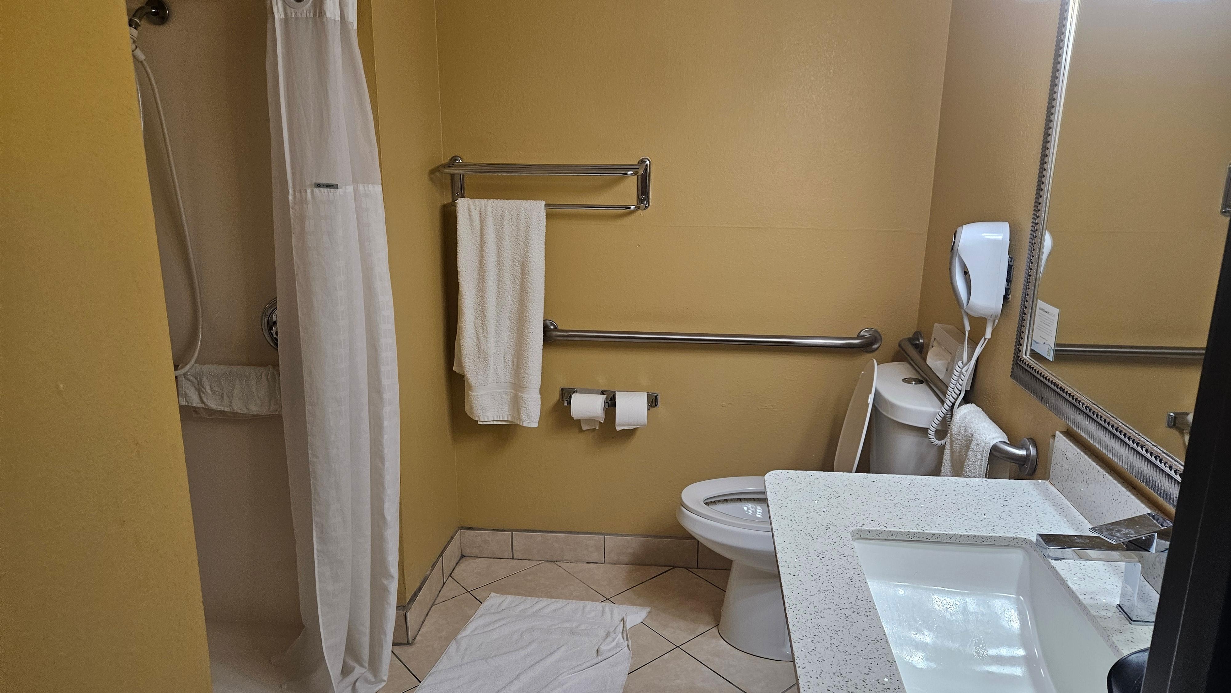 handicap bathroom shower