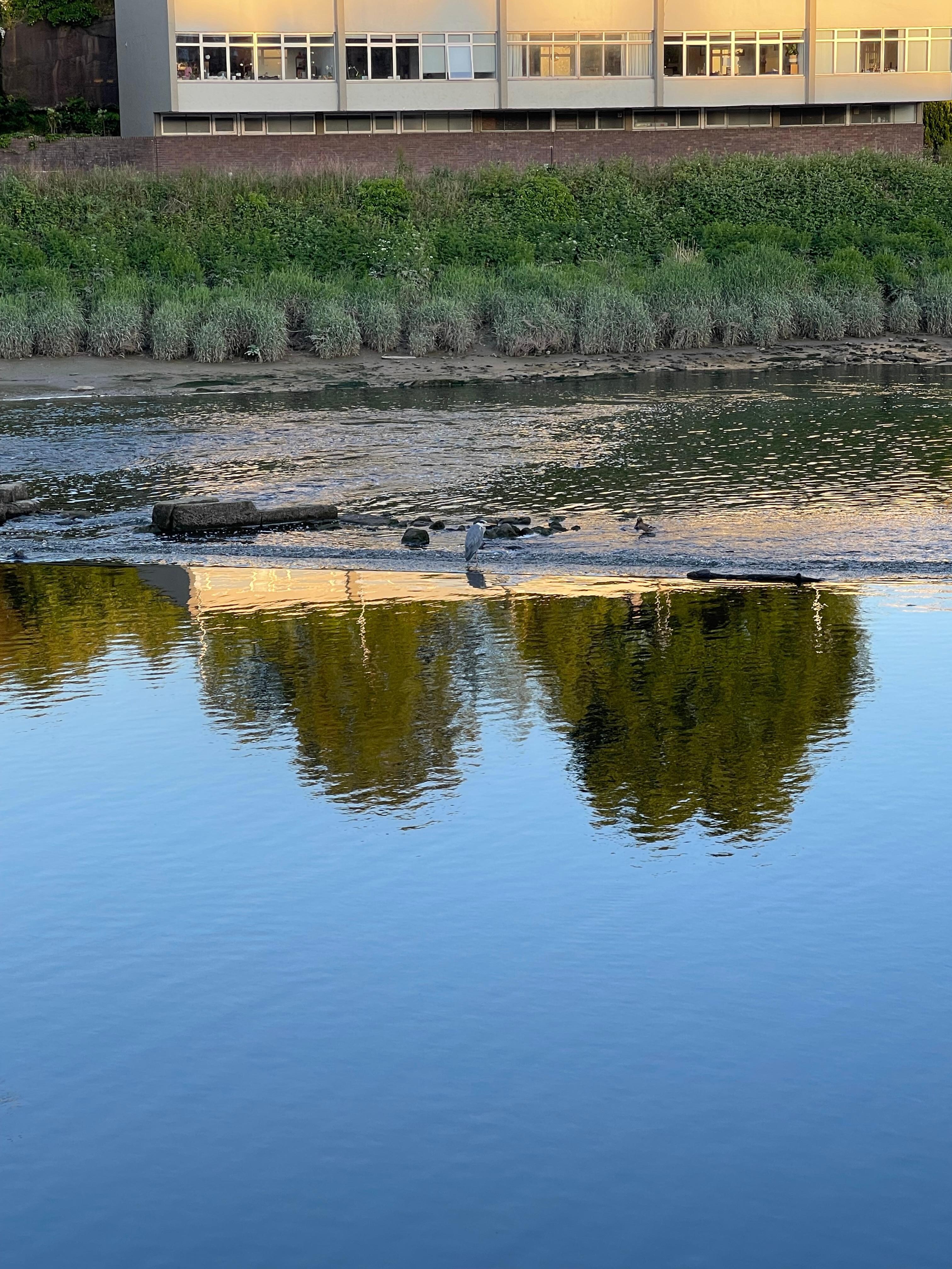 Down by the river 