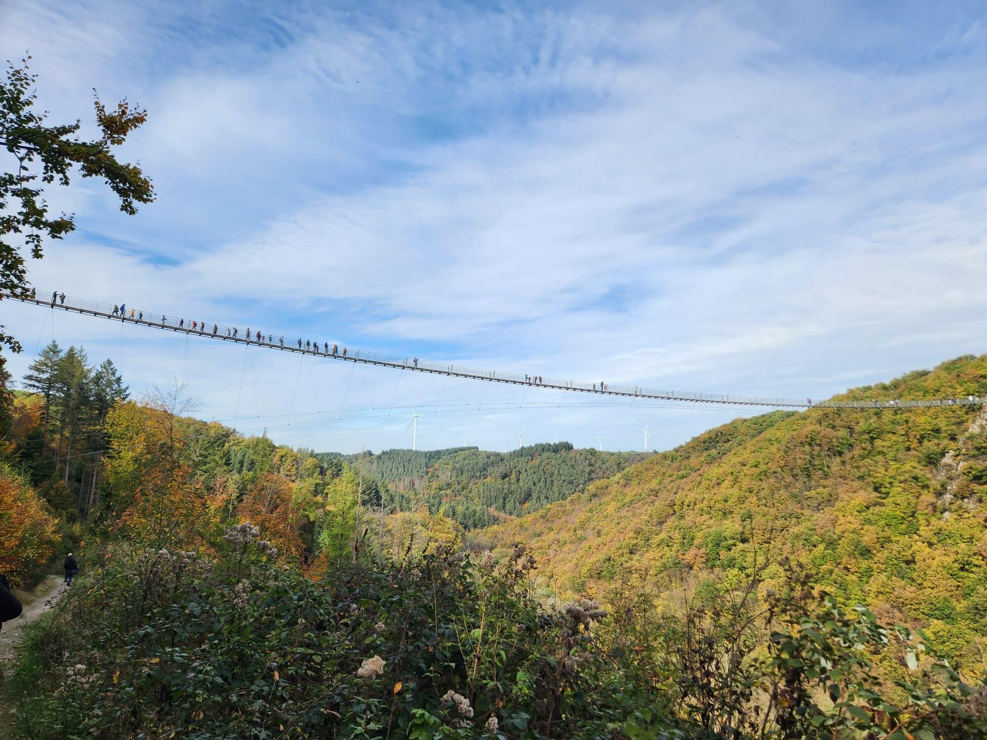 Geierlay-Hängebrücke 