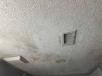Bathroom Ceiling