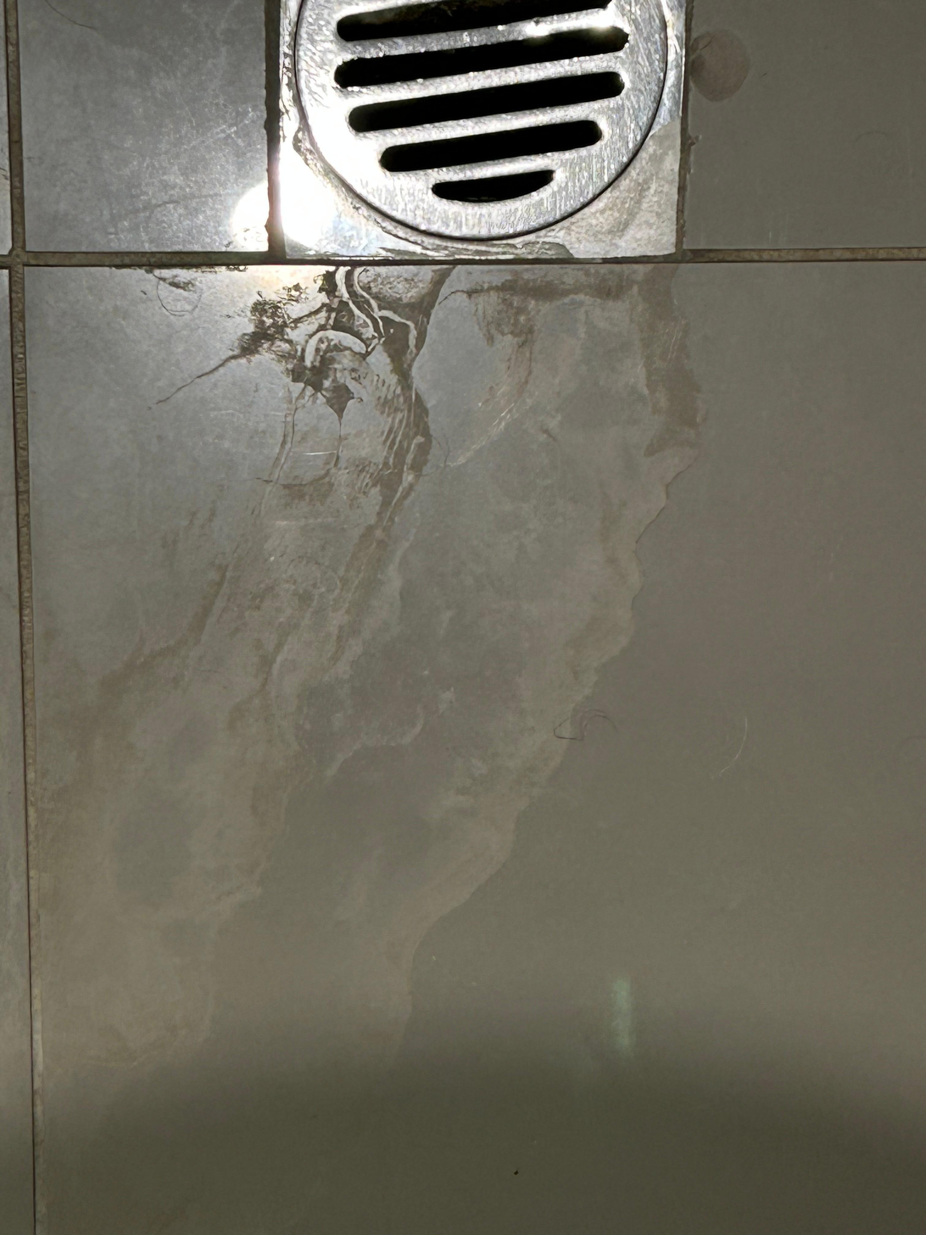 Bathroom in the two bed apartment