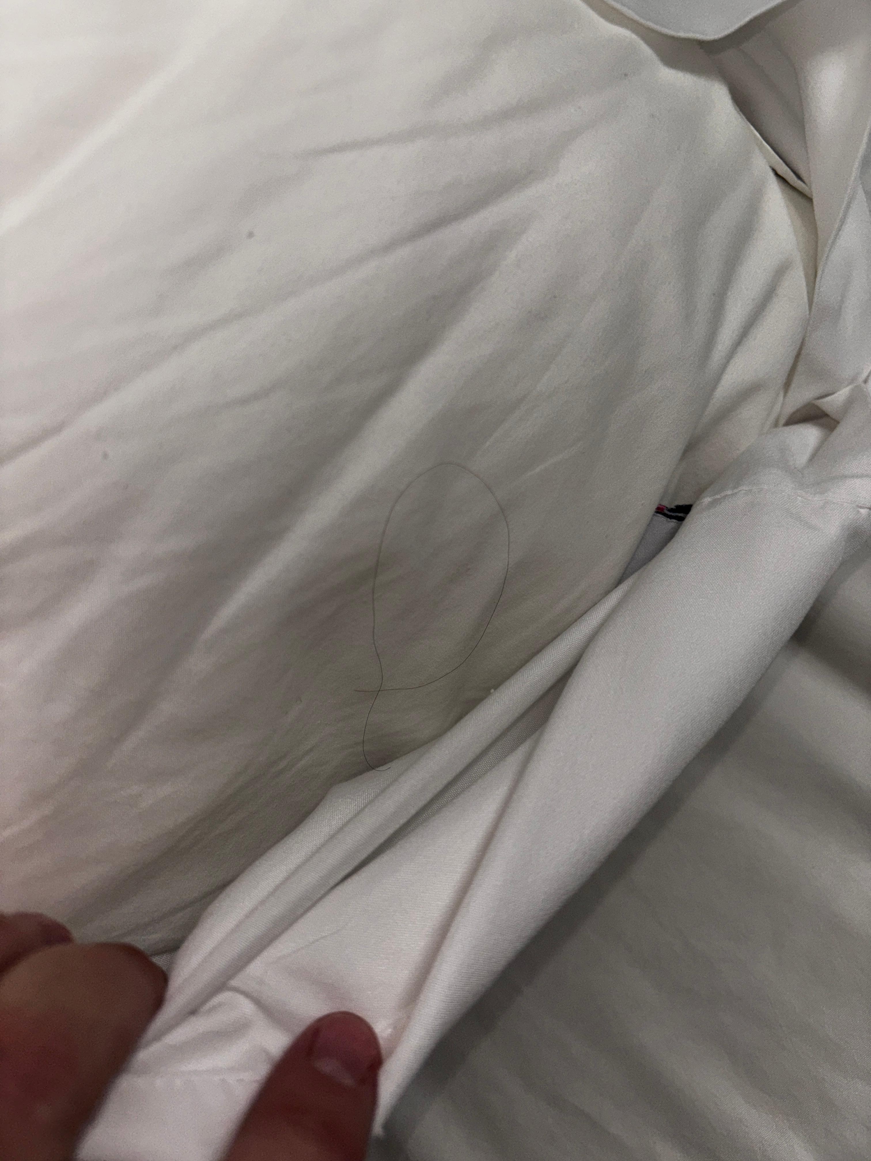 Long black hairs on everything