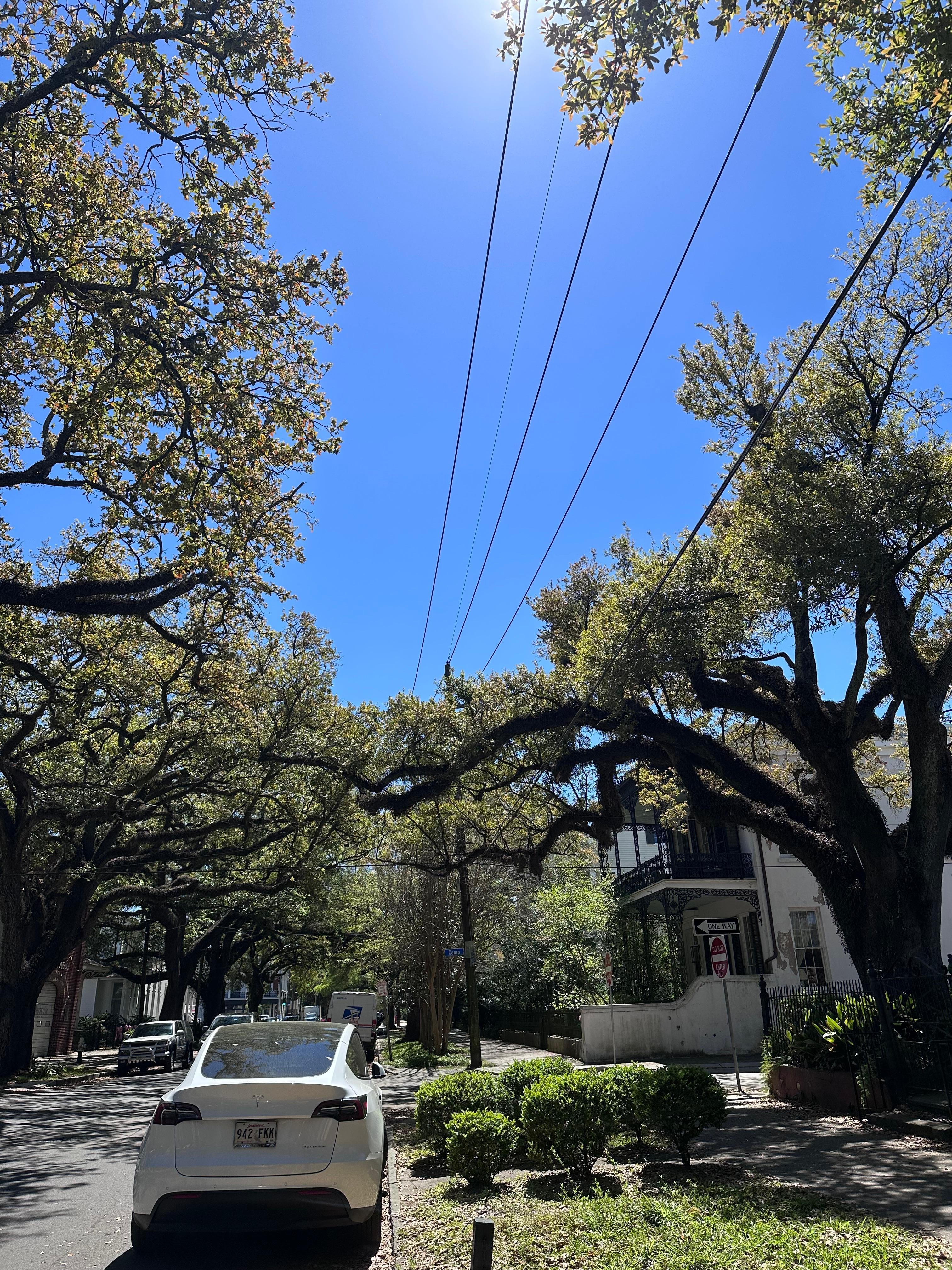 Also close to the Garden District 