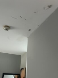My bedroom ceiling fixable