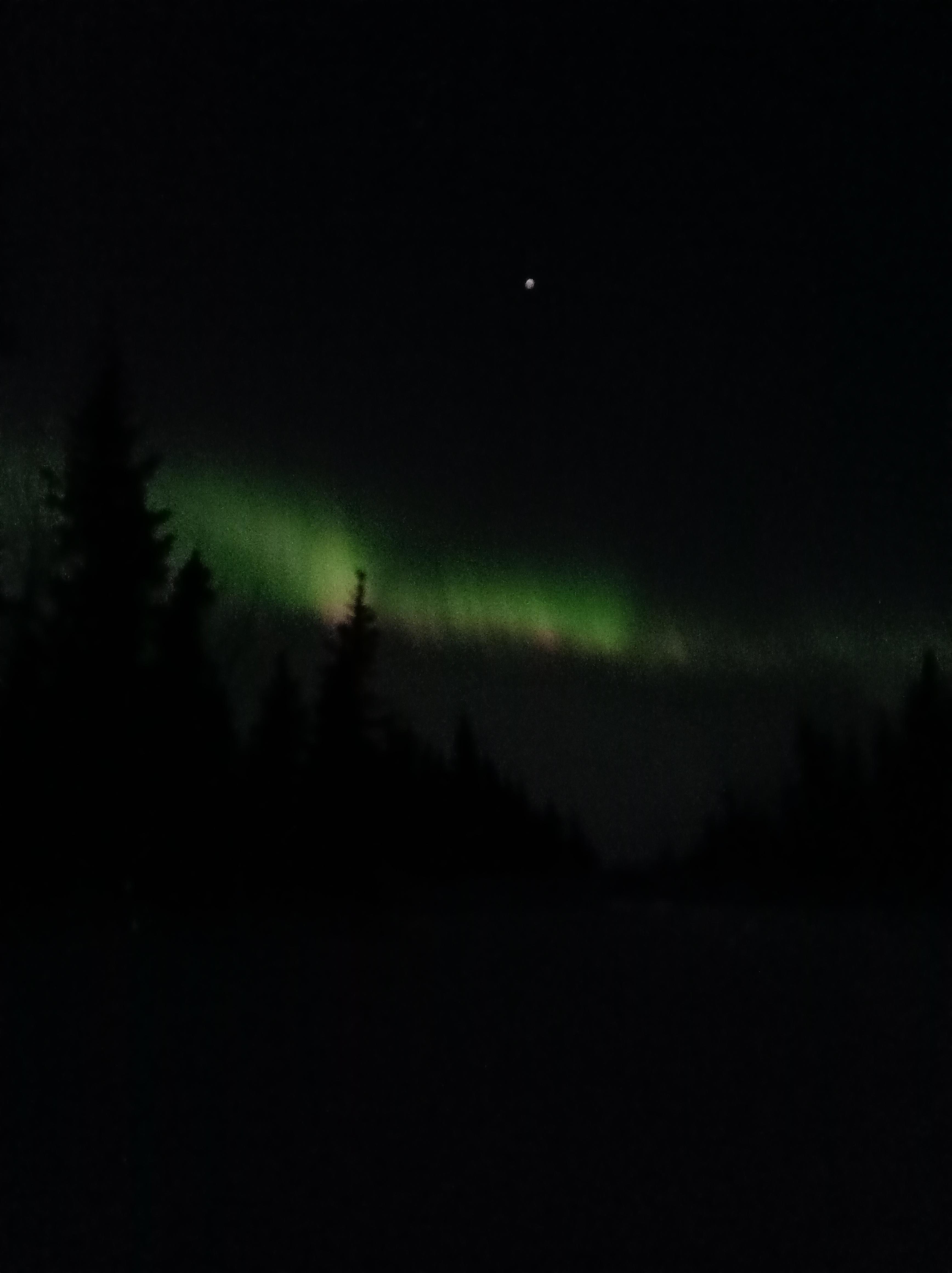 Northern Lights from the driveway 