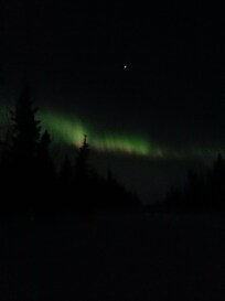 Northern Lights from the driveway
