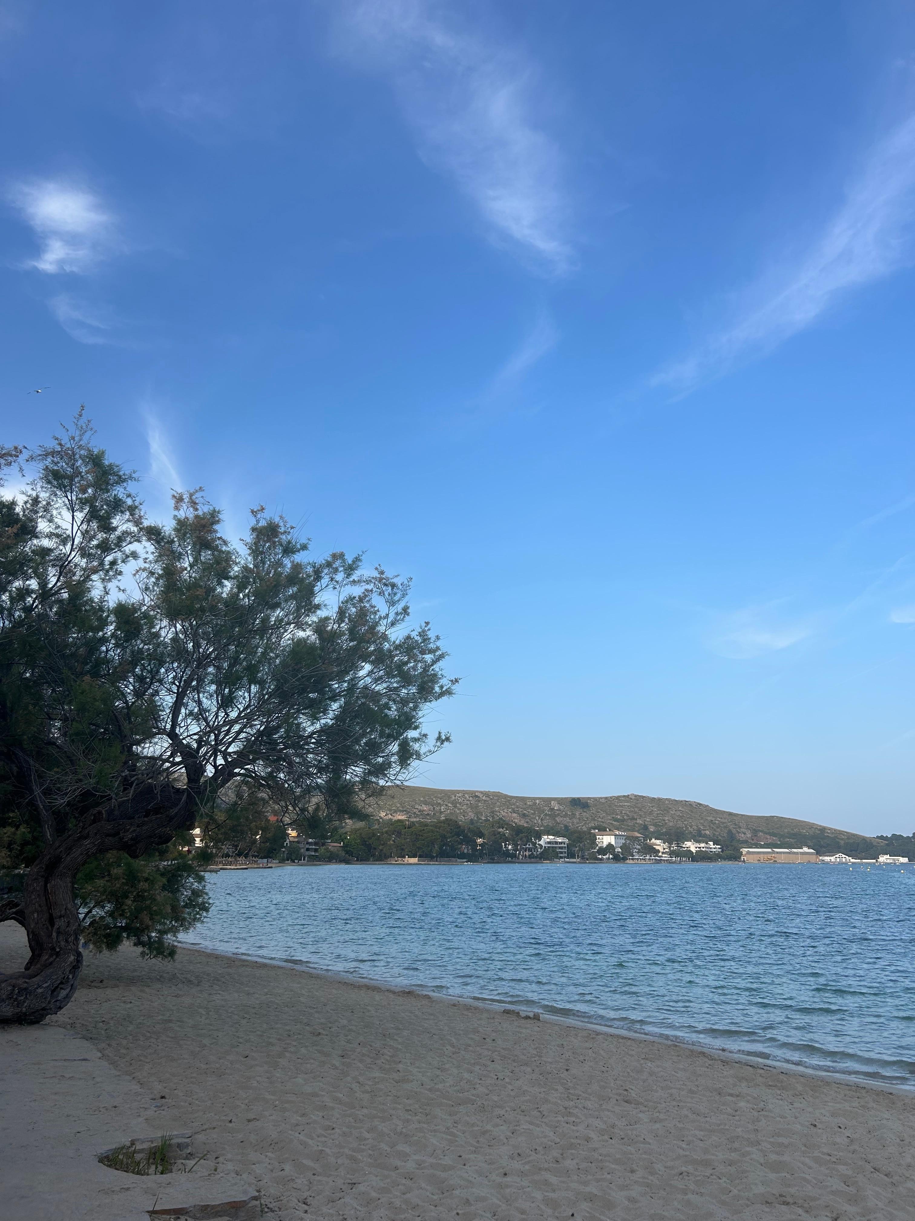 My view on my regular morning walks 