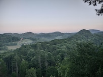 Morning view