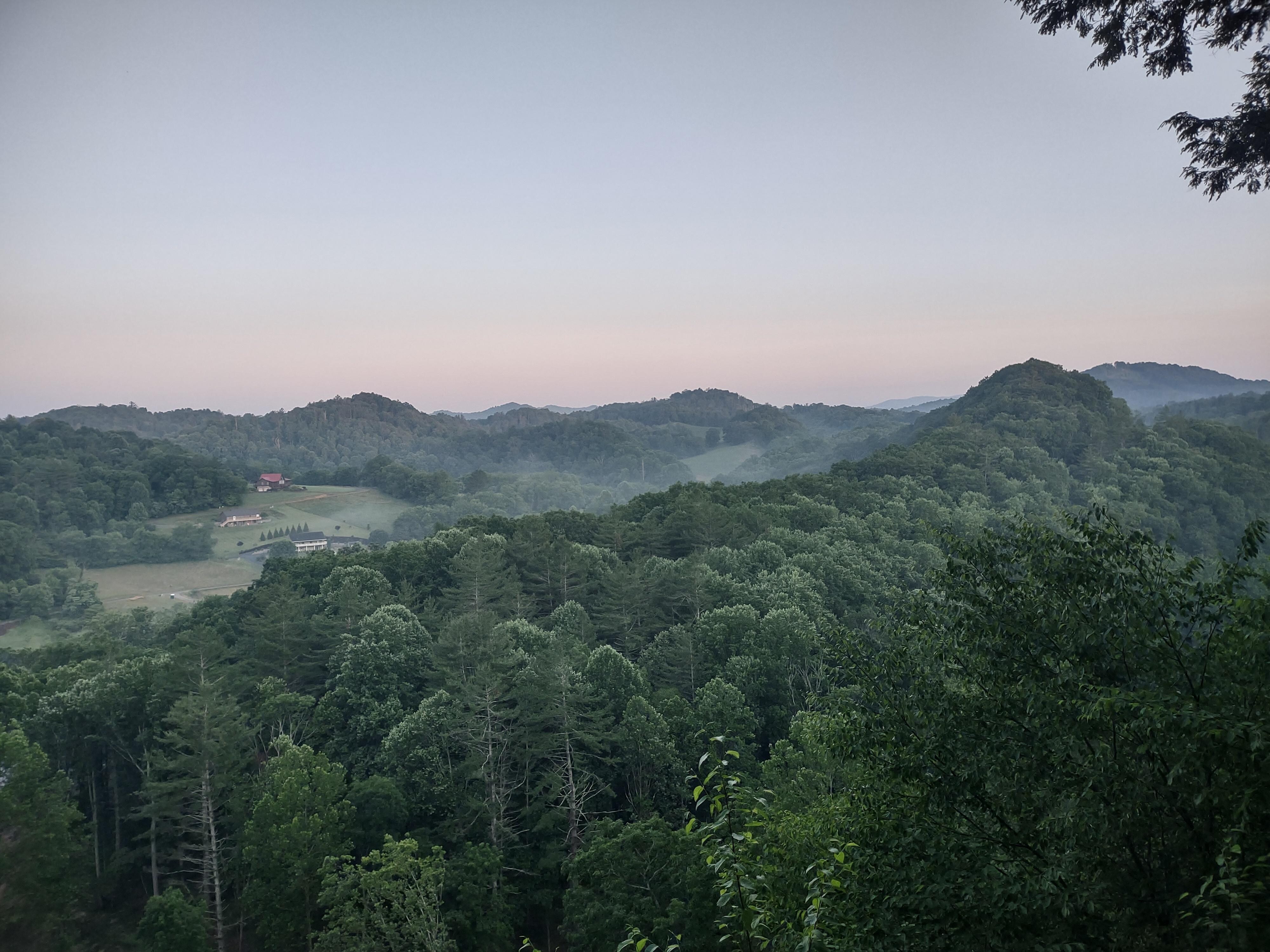 Morning view