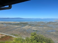 Low Tide