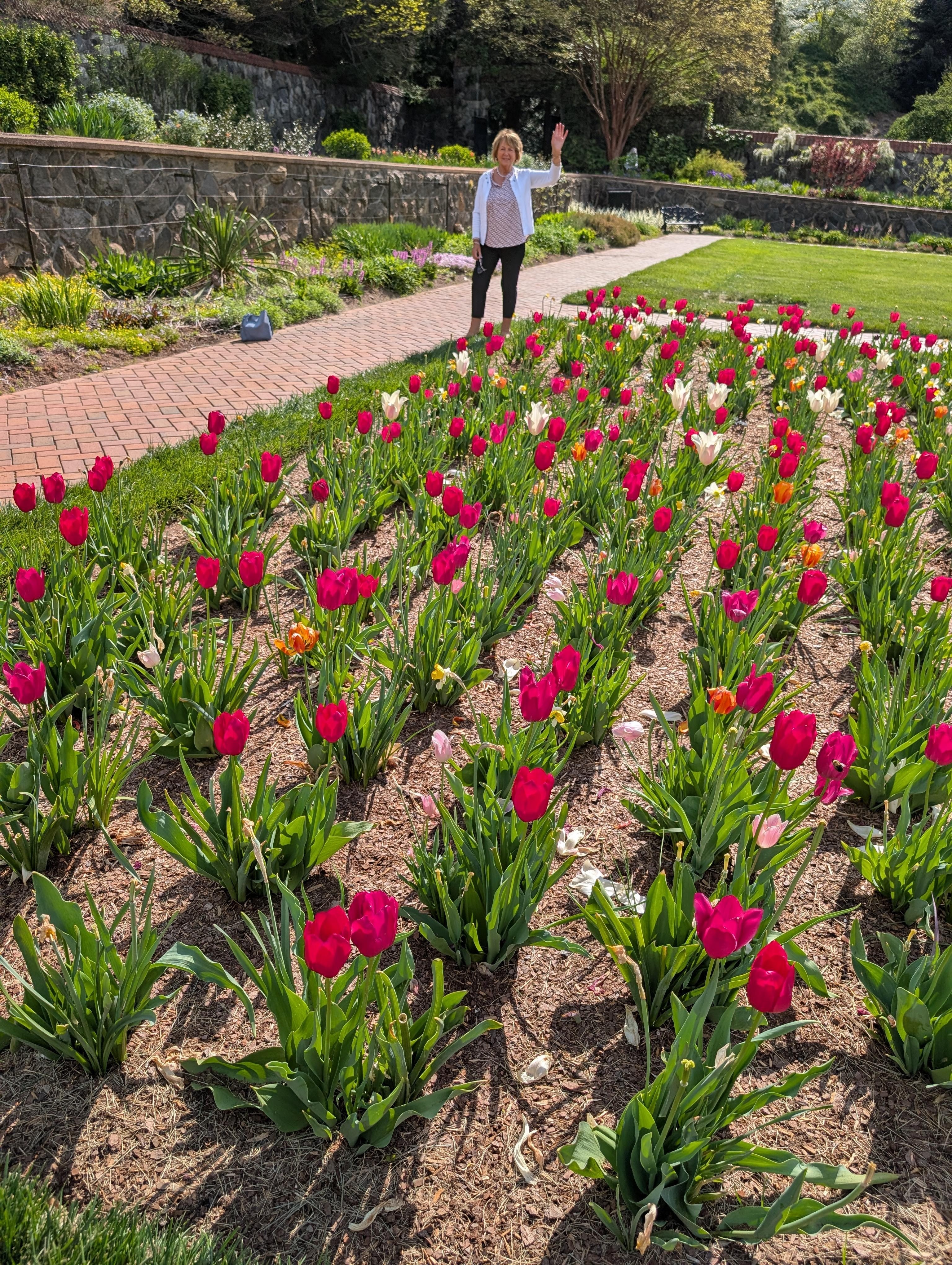 The tulips were past their Prime due to the hot weather but the green houses were AMAZING. 