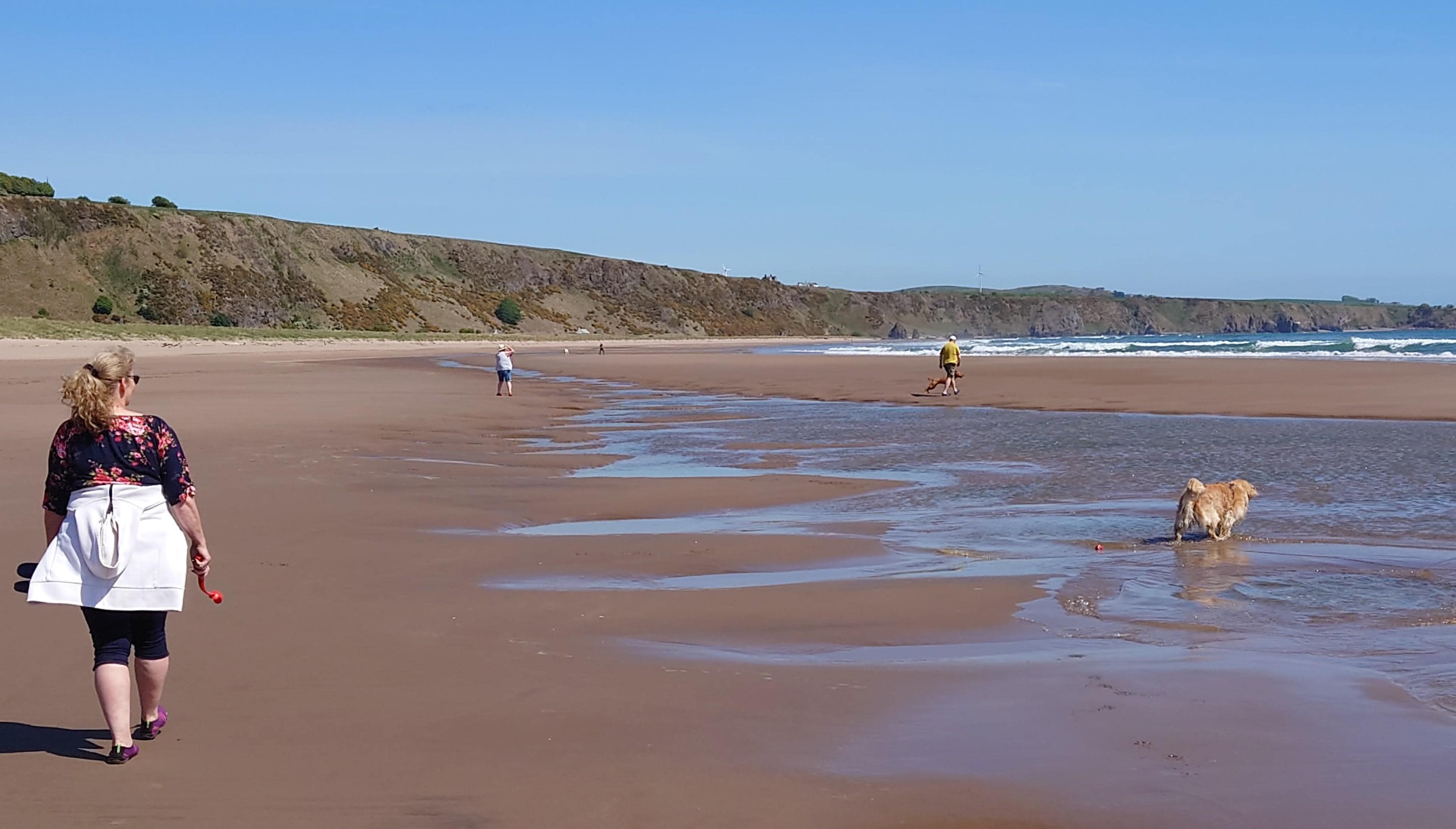 Beach gloriously quiet as always (tho never been during school holidays)
