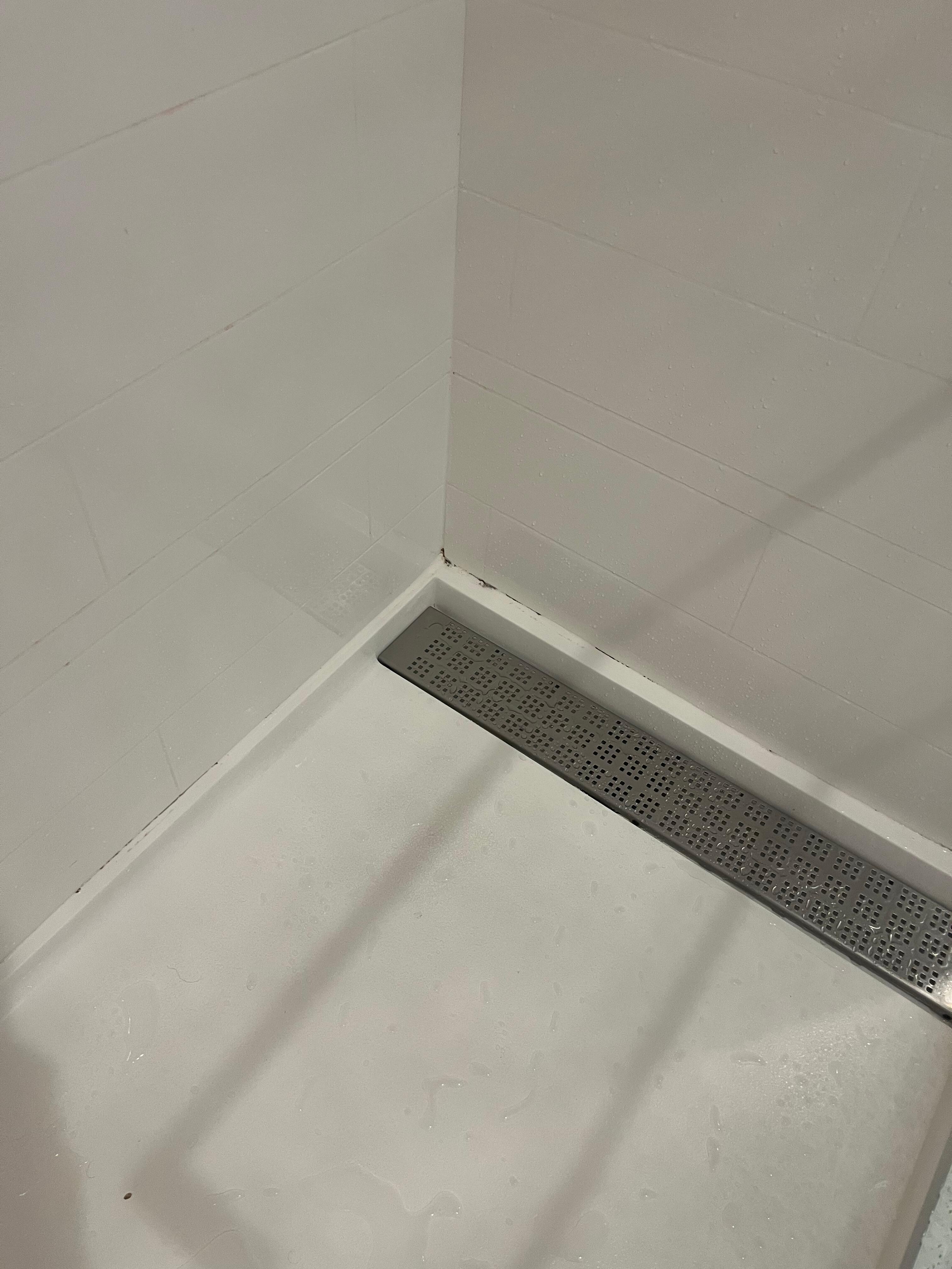 Mold in the shower