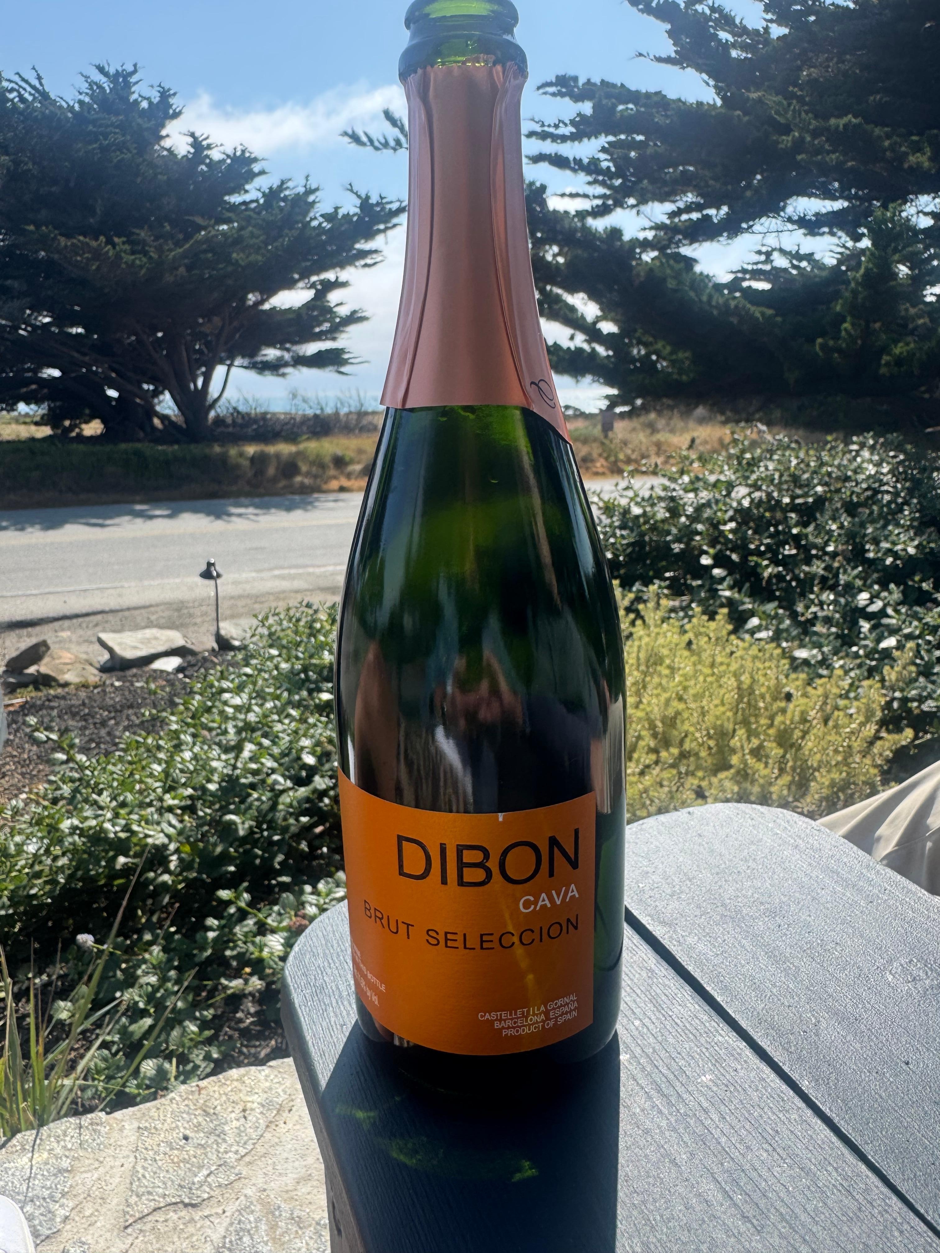 Bubbles! What a great gift! Delicious with an ocean view! 