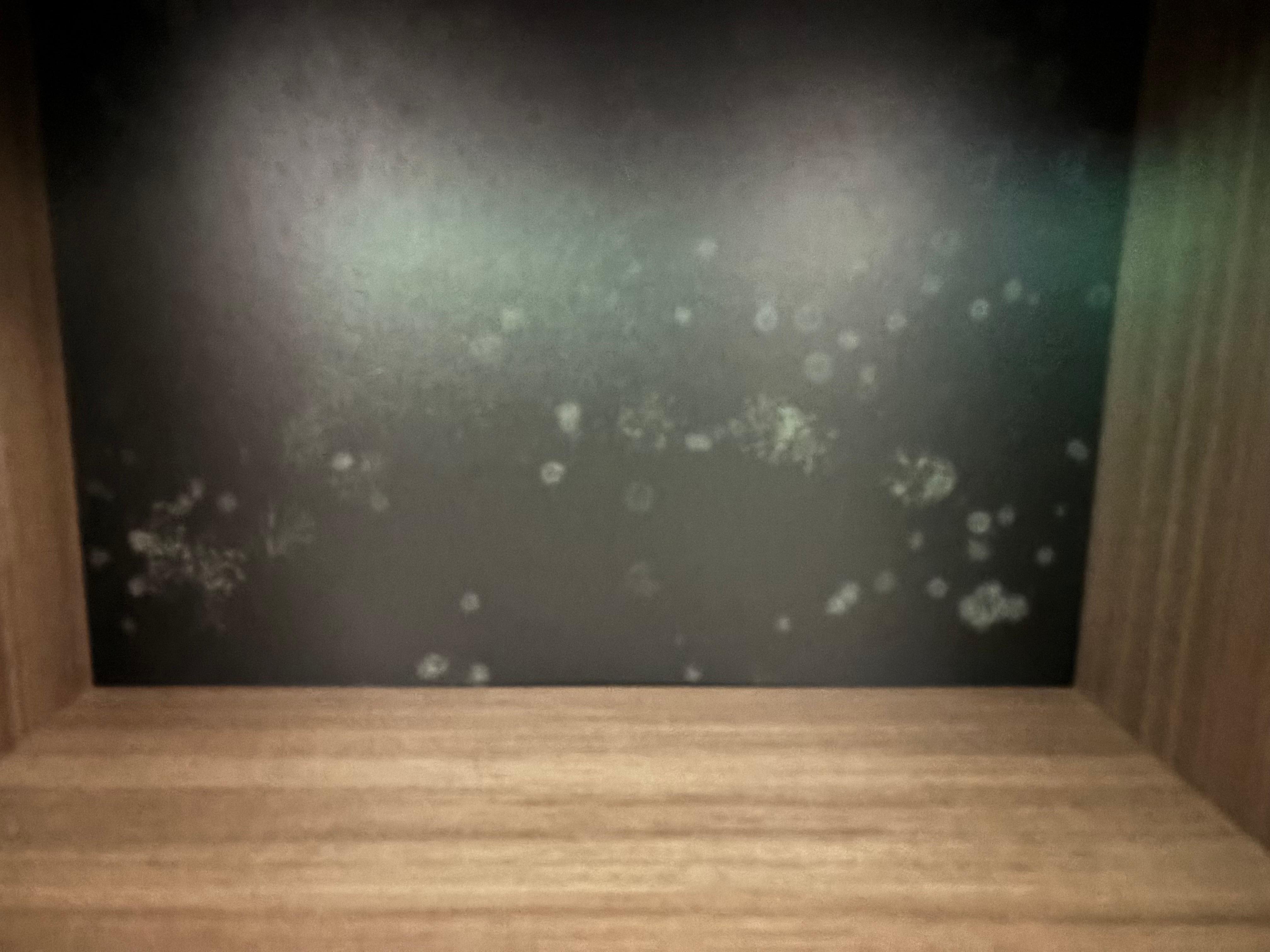 Mildew in the nightstand