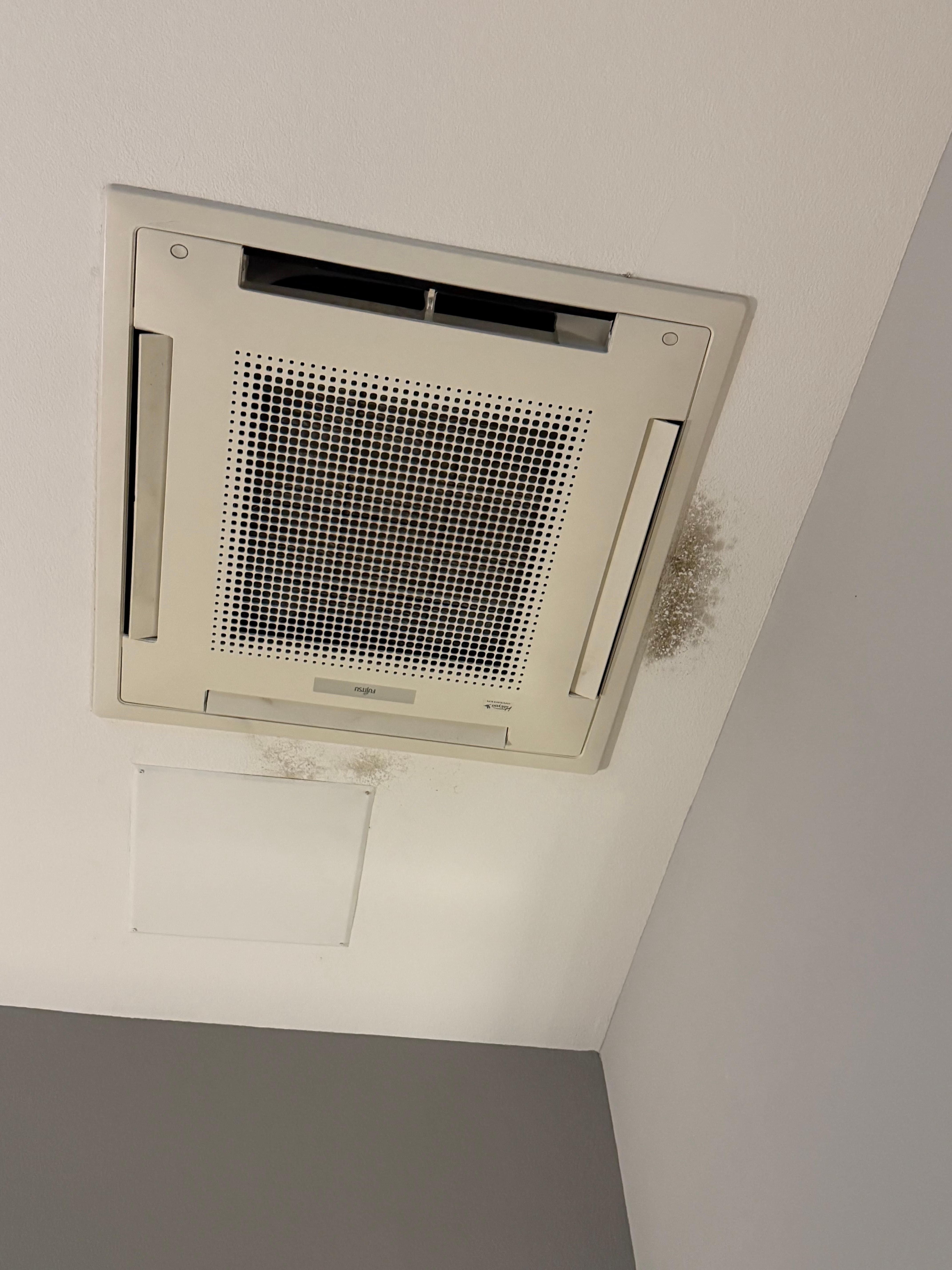 Mold on the ceiling