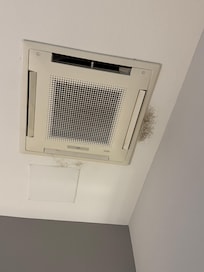 Mold on the ceiling