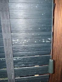 Mold in the bathroom.